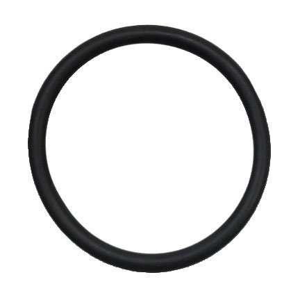 Generic O-Ring (generic for G32518)